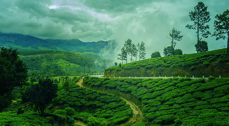 The Wind Munnar - best hotel to stay in Munnar