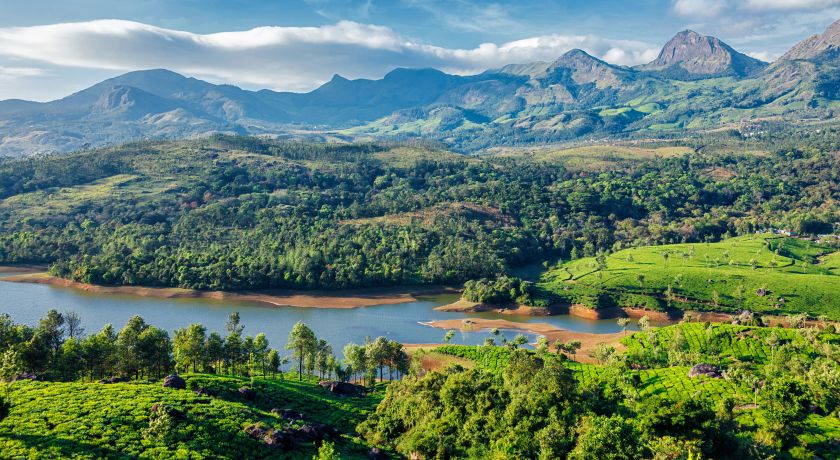 holidays in munnar