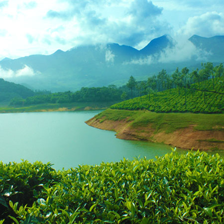 best holiday destination in Munnar - Anayirankal Dam