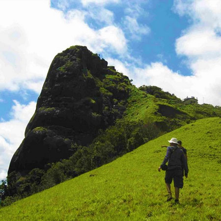 Major attractions in Munnar - Kolukkumalai